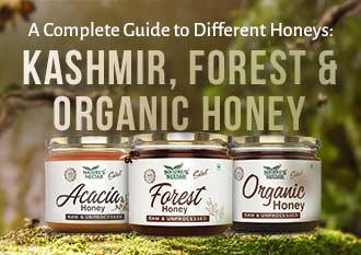 A Complete Guide to Different Honeys: Kashmir, Forest & Organic Honey